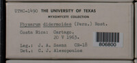 Image Associated With the Occurence